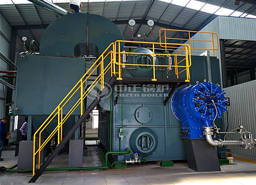 河南25噸SZS冷凝式燃?xì)庹羝仩t項目