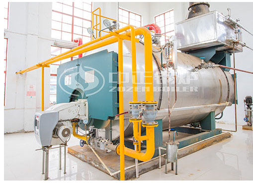 河南6噸冷凝式燃?xì)庹羝仩t項目